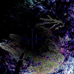Void of Reason