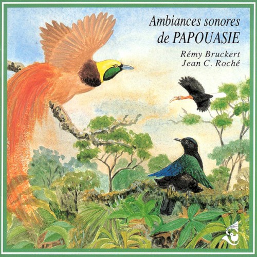 Ambiances de Papouasie / New Guinea Soundscapes