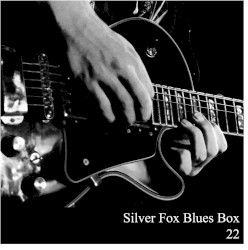 Silver Fox Blues Box 22