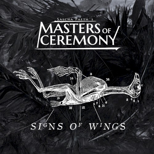 Signs of Wings