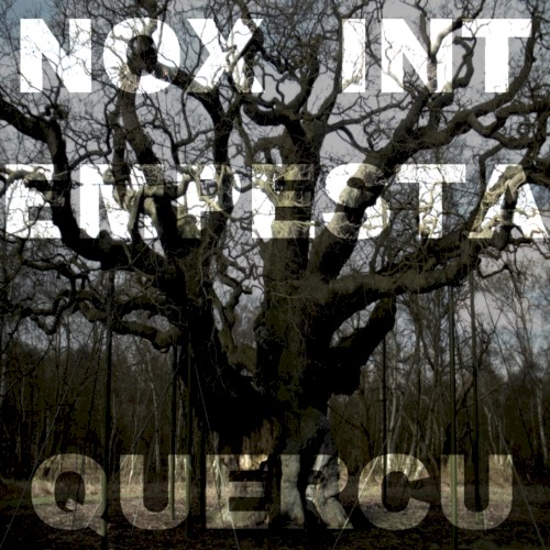 Quercu