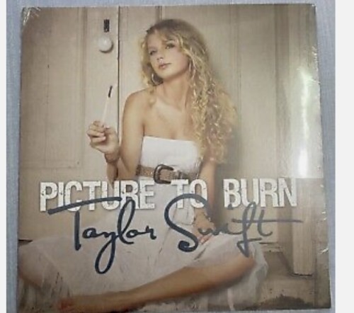 Picture to Burn