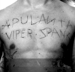 Viper Spank