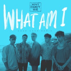 What Am I (Cash Cash remix)