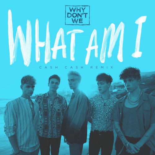 What Am I (Cash Cash remix)