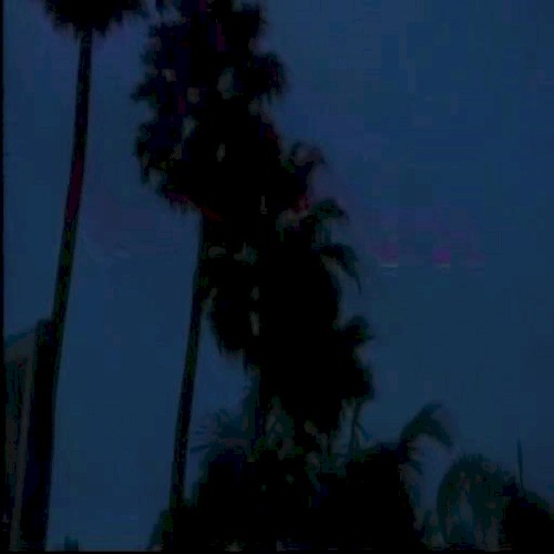TBA (2018)
