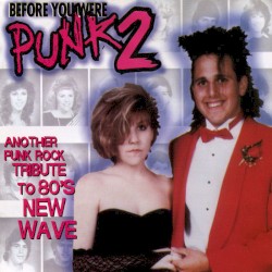 Before You Were Punk 2