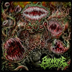 Turbulent Biogenesis