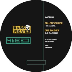 Fallen Soldier