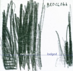 Neglect It / Lodged