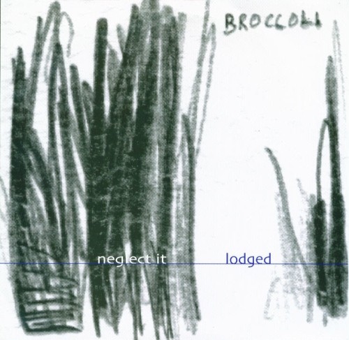 Neglect It / Lodged