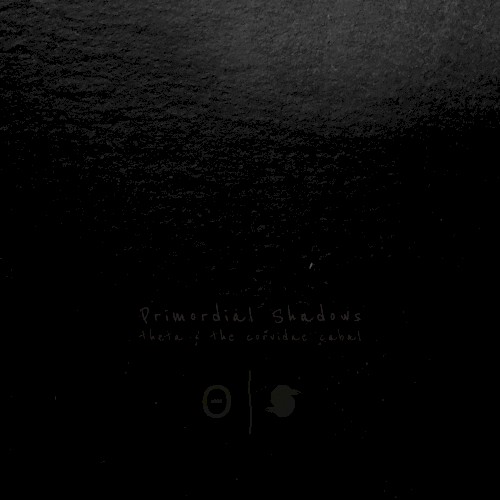 Primordial Shadows