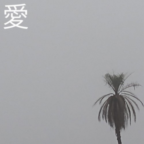 愛
