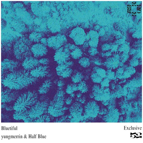 Bluetiful