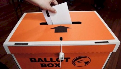 Election Year