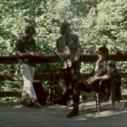 Live from the Treehouse