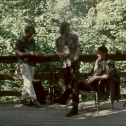 Live from the Treehouse