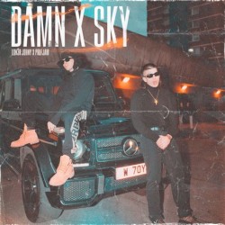 DAMN/SKY