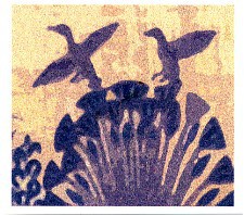 Birds and Reeds
