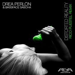 Distorted Reality (remixes)