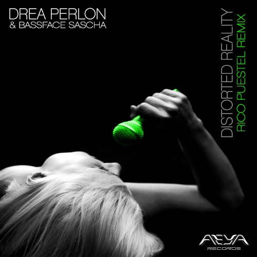 Distorted Reality (remixes)