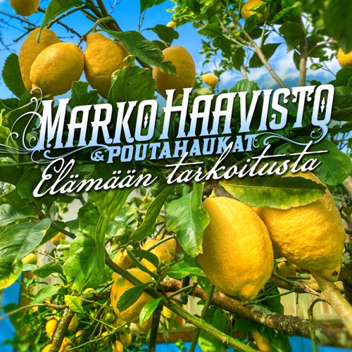 Elämään tarkoitusta