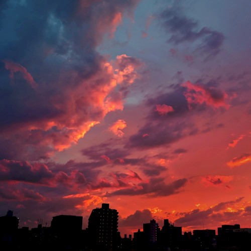 Faraday Sundown