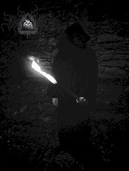 Demo II