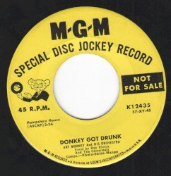 Donkey Got Drunk / I Never Had a Worry in the World