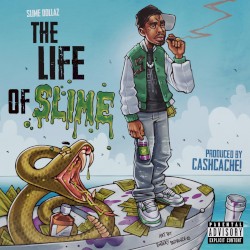 The Life of Slime