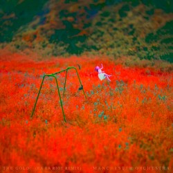 The Gold (Ra Ra Riot remix)