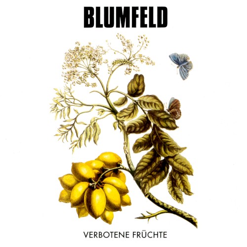 Verbotene Früchte