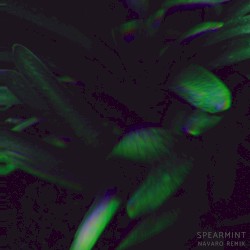 Spearmint (NUEQ Remix)