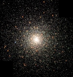 Entropy of Stars