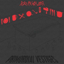 Primordial Vestiges
