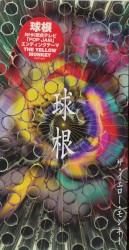 球根