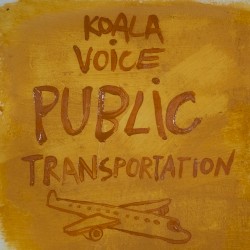 Public Transportation