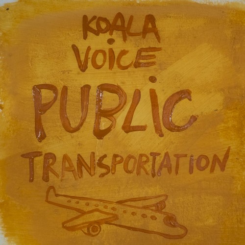 Public Transportation