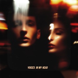 VOICES IN MY HEAD