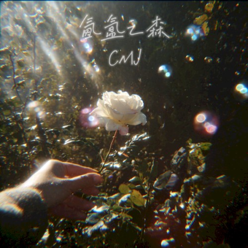 氤氲之森