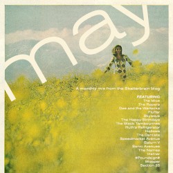 Skatterbrain May Mix 2012