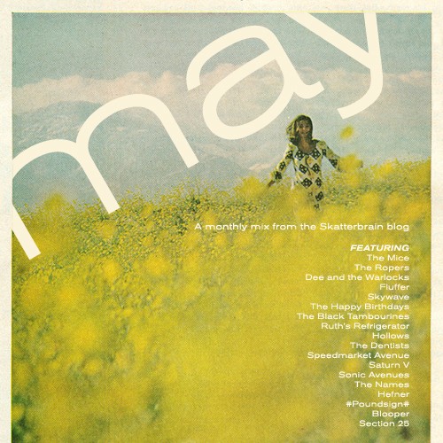 Skatterbrain May Mix 2012