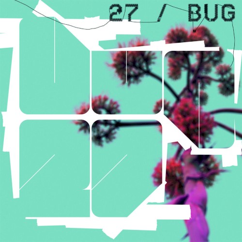 27 / Bug