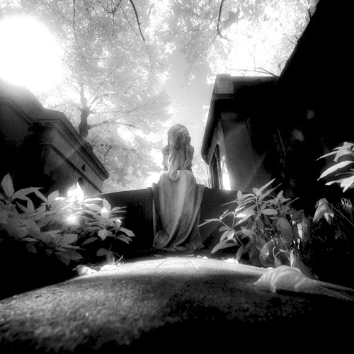 Transience
