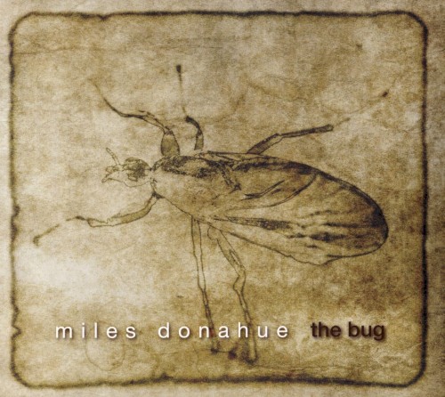 The Bug