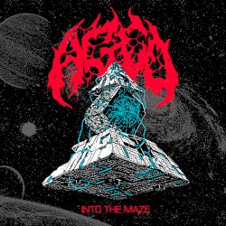 Into the Maze