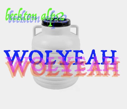 WOLYEAH C