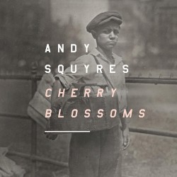 Cherry Blossoms