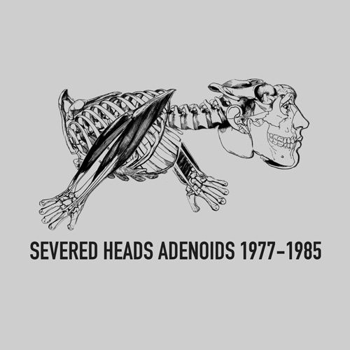 Adenoids 1977–1985