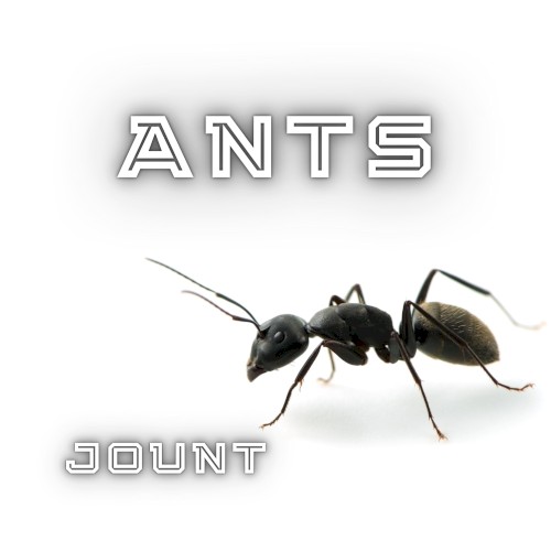 Ants